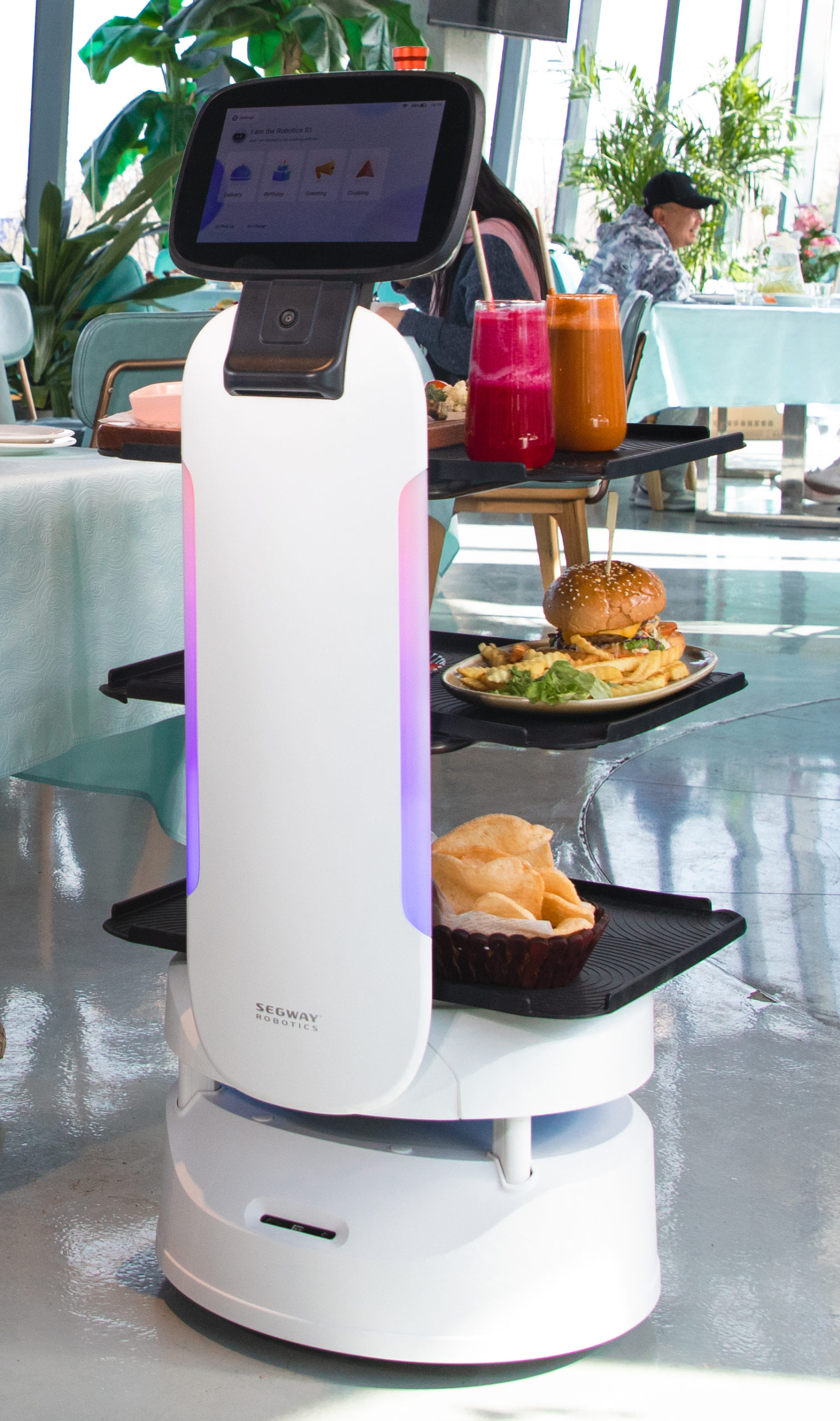 Segway Restaurant Service Robot more functions